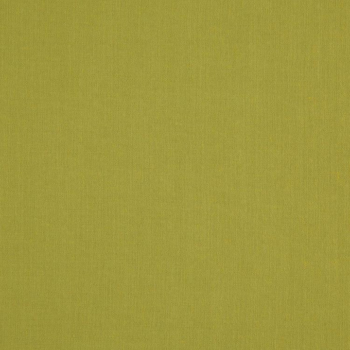 Landen Pistachio by RM CoCo Fabric