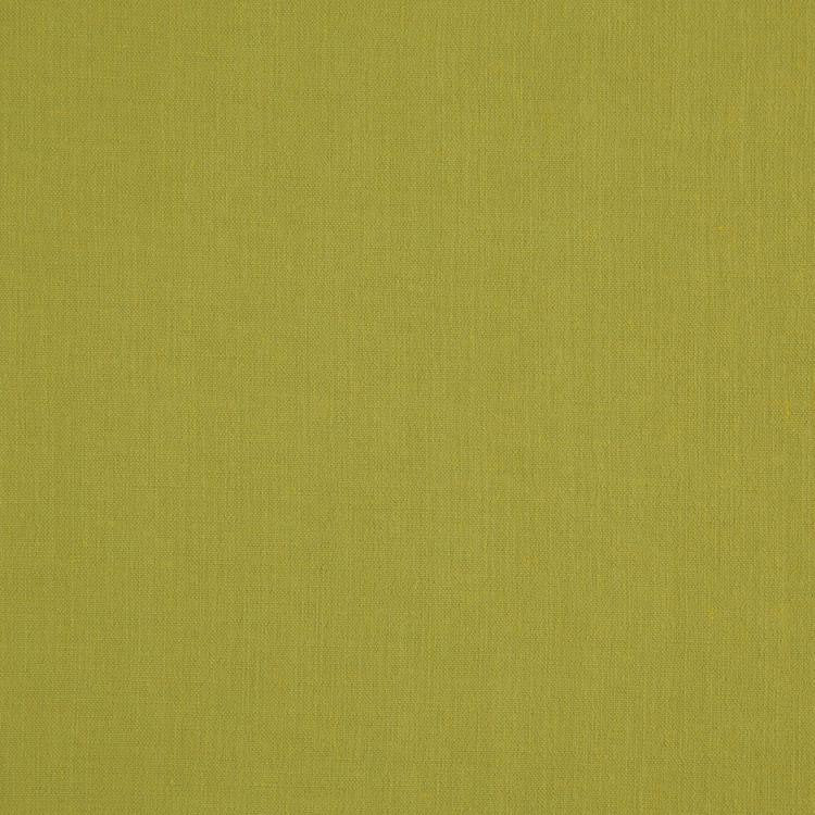 Landen Pistachio by RM CoCo Fabric Landen 95% POLYESTER 5% LINEN 110000 Horizontal: 0 and Vertical: 0 57 - Fabric Carolina -