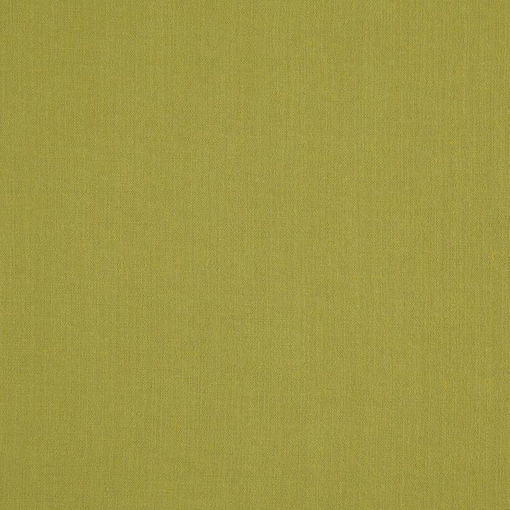 Landen Pistachio by RM CoCo Fabric