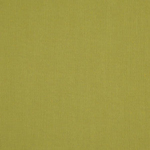 Landen Pistachio by RM CoCo Fabric