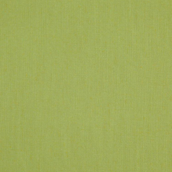Landen Fern by RM CoCo Fabric