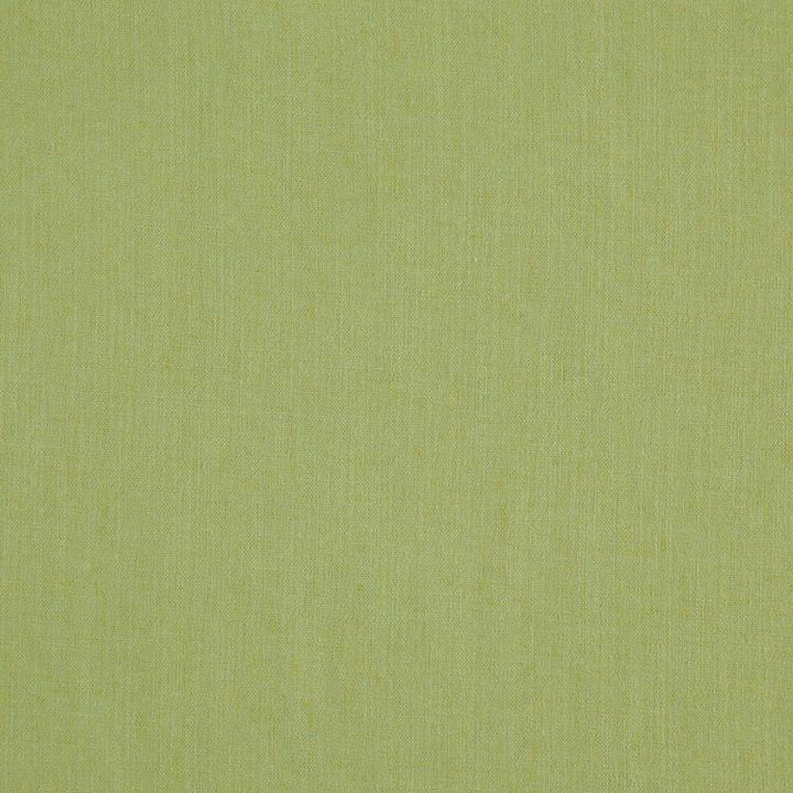 Landen Fern by RM CoCo Fabric