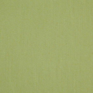 Landen Fern by RM CoCo Fabric