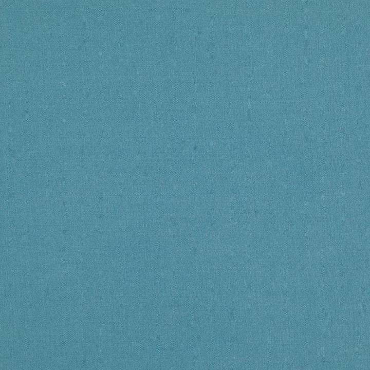 Landen Spa by RM CoCo Fabric Landen 95% POLYESTER 5% LINEN 110000 Horizontal: 0 and Vertical: 0 57 - Fabric Carolina -
