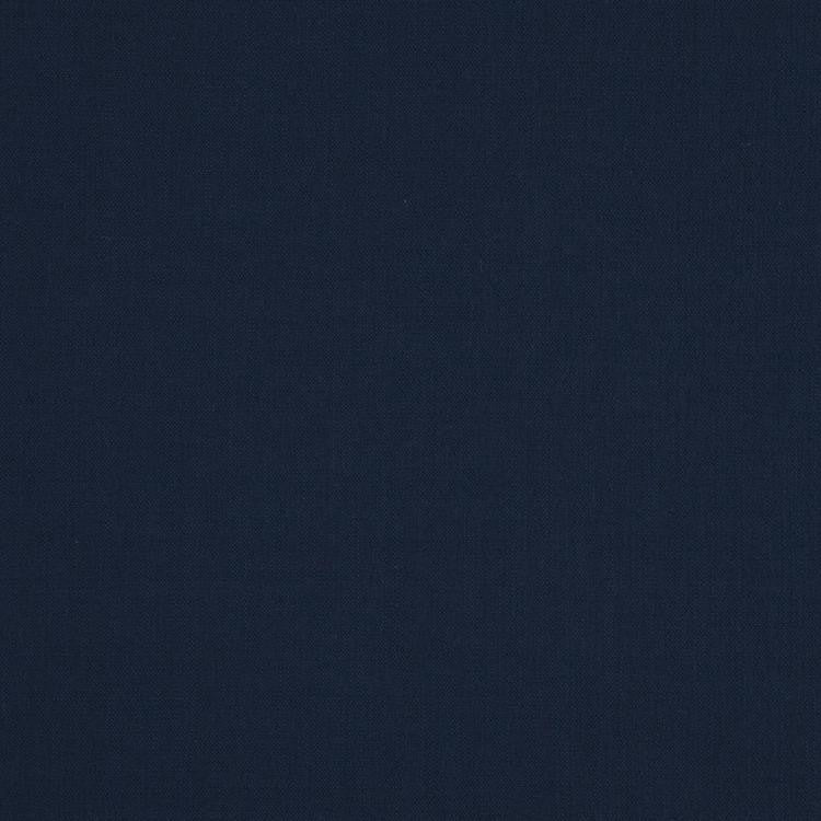 Landen Stellar by RM CoCo Fabric Landen 95% POLYESTER 5% LINEN 110000 Horizontal: 0 and Vertical: 0 57 - Fabric Carolina -