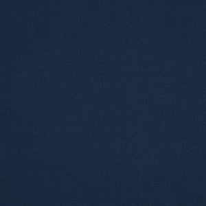 Landen Stellar by RM CoCo Fabric