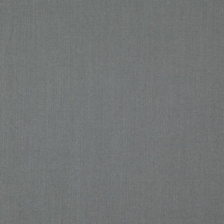 Landen Drizzle by RM CoCo Fabric Landen 95% POLYESTER 5% LINEN 110000 Horizontal: 0 and Vertical: 0 57 - Fabric Carolina -