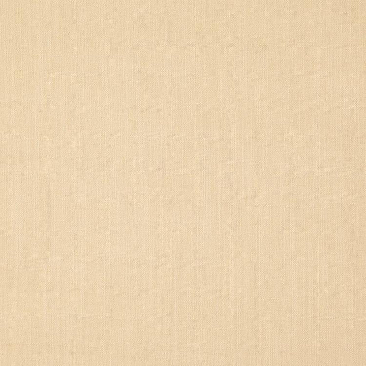 Landen Antique by RM CoCo Fabric Landen 95% POLYESTER 5% LINEN 110000 Horizontal: 0 and Vertical: 0 57 - Fabric Carolina -