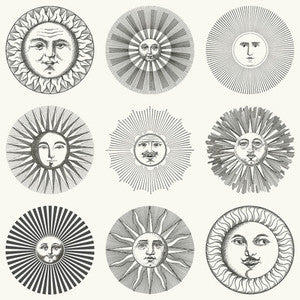 Soli Black & White 123/1001.CS.0 by Cole & Son Wallcovering