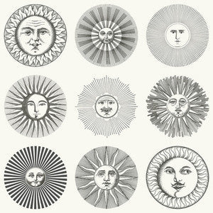 Soli Black & White 123/1001.CS.0 by Cole & Son Wallcovering
