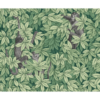 Cole & Son Wallcovering 123/10049.CS.0 Wallcovering NON WOVEN - 100% United Kingdom </p><p>Repeat: H: , V: 27.5 21 - My Fabric Connection -