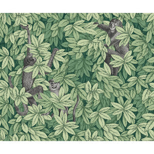 Foglie E Scimmie Green 123/10049.CS.0 by Cole & Son Wallcovering