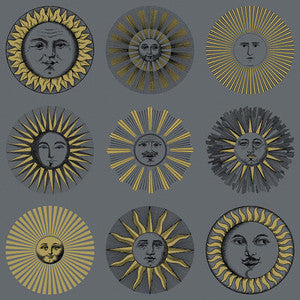 Soli Midnight & Soft Gold 123/1004.CS.0 by Cole & Son Wallcovering