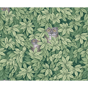 Foglie E Civette Green 123/11054.CS.0 by Cole & Son Wallcovering