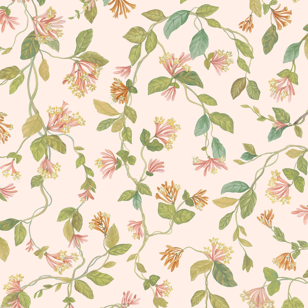 Pink/Orange By Cole & Son Wallcovering