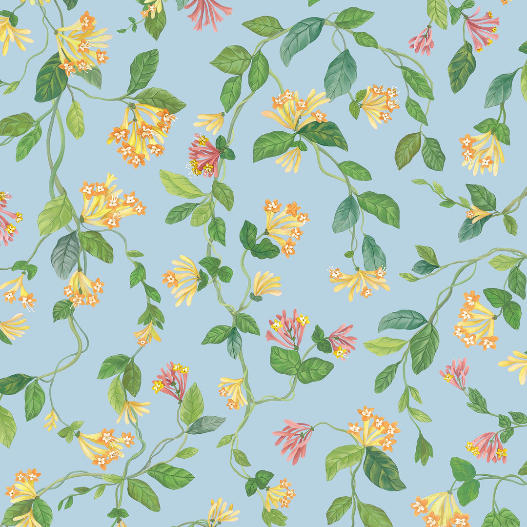 Blue/Orange By Cole & Son Wallcovering