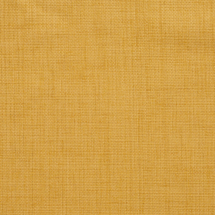 1250 Maize by Charlotte Fabric Caribbean Cove 100% Woven Acrylic Made In USA Exceeds 50,000 Wyzenbeek Rubs (Heavy Duty) No Repeat 54 Inches - Fabric Carolina -