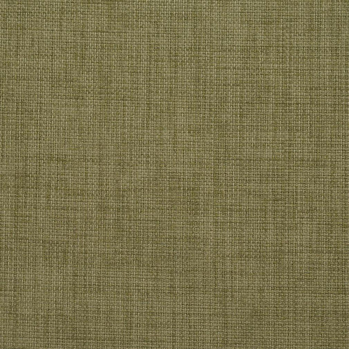 1257 Sage by Charlotte Fabric Caribbean Cove 100% Woven Acrylic Made In USA Exceeds 50,000 Wyzenbeek Rubs (Heavy Duty) No Repeat 54 Inches - Fabric Carolina -