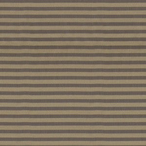 Garbo Sheer Champagne 12621 by Schumacher Fabric