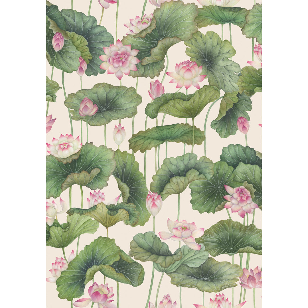Pink By Cole & Son Wallcovering