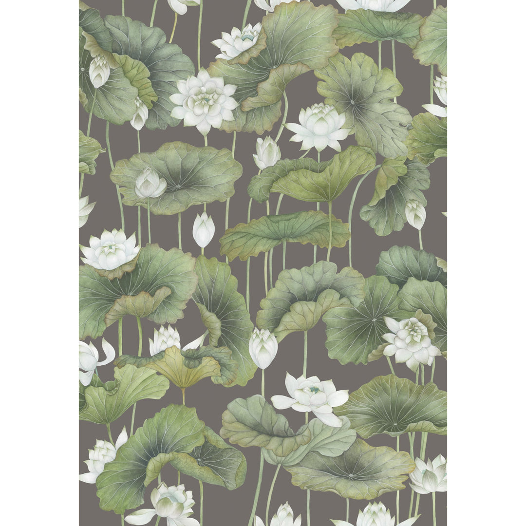 White/Charcoal By Cole & Son Wallcovering