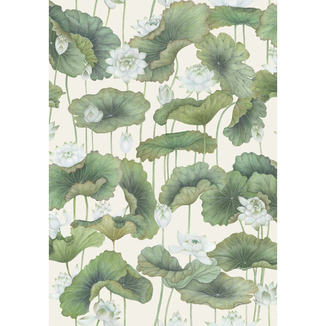 White/Cream By Cole & Son Wallcovering