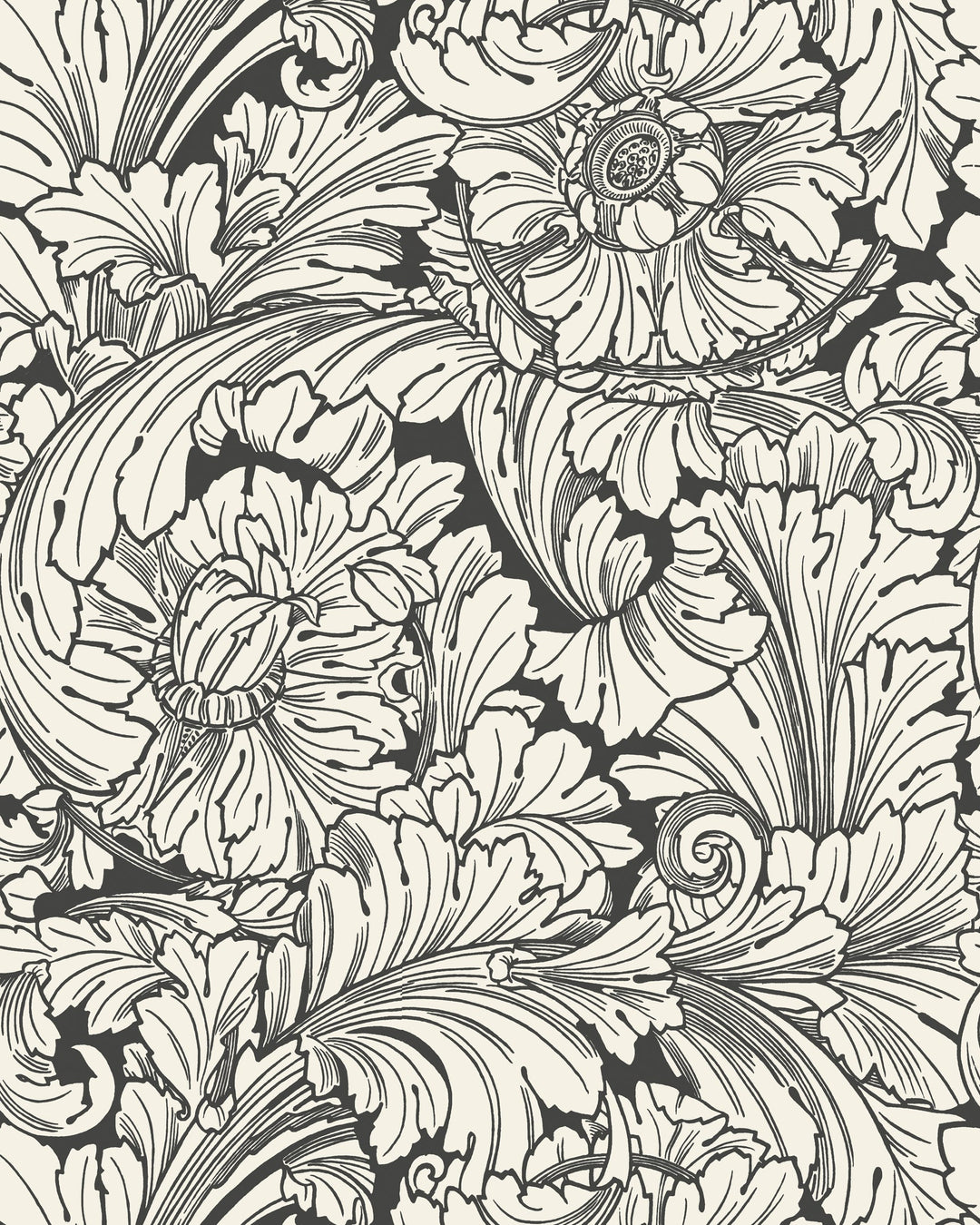 Soot/Snow By Cole & Son Wallcovering