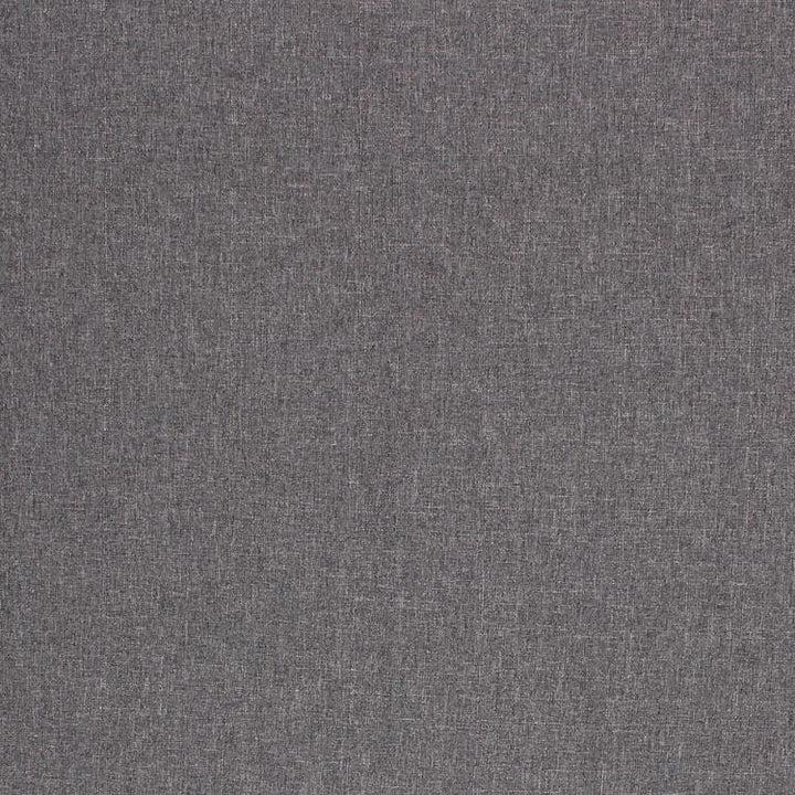 Monte Carlo Pewter by RM CoCo Fabric
