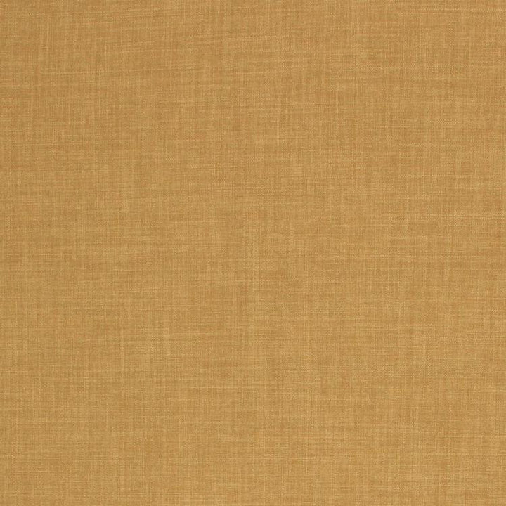 Saint Tropez Key Lime by RM CoCo Fabric