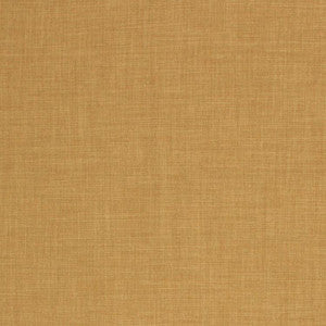 Saint Tropez Key Lime by RM CoCo Fabric