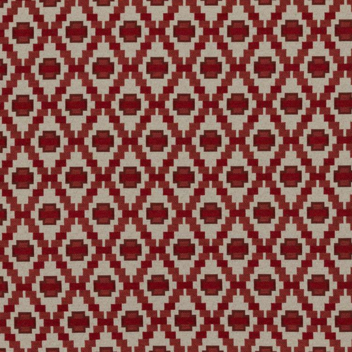 Step Up Trellis Cherry by RM CoCo Fabric