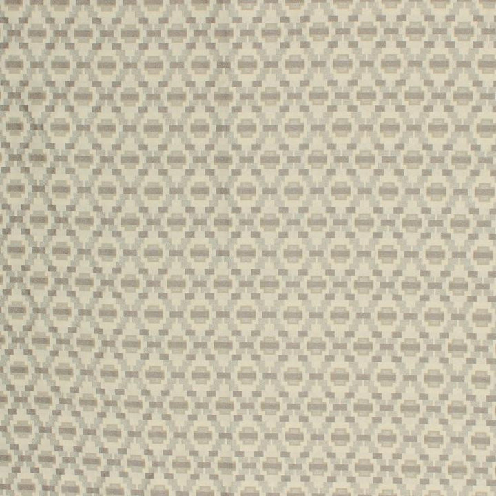 Step Up Trellis Sterling by RM CoCo Fabric