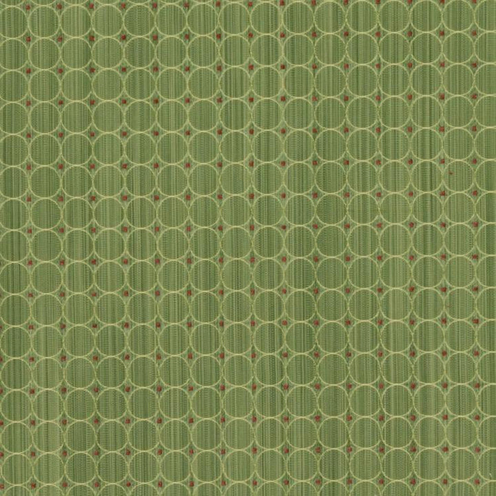 Rizzolli Mint by RM CoCo Fabric