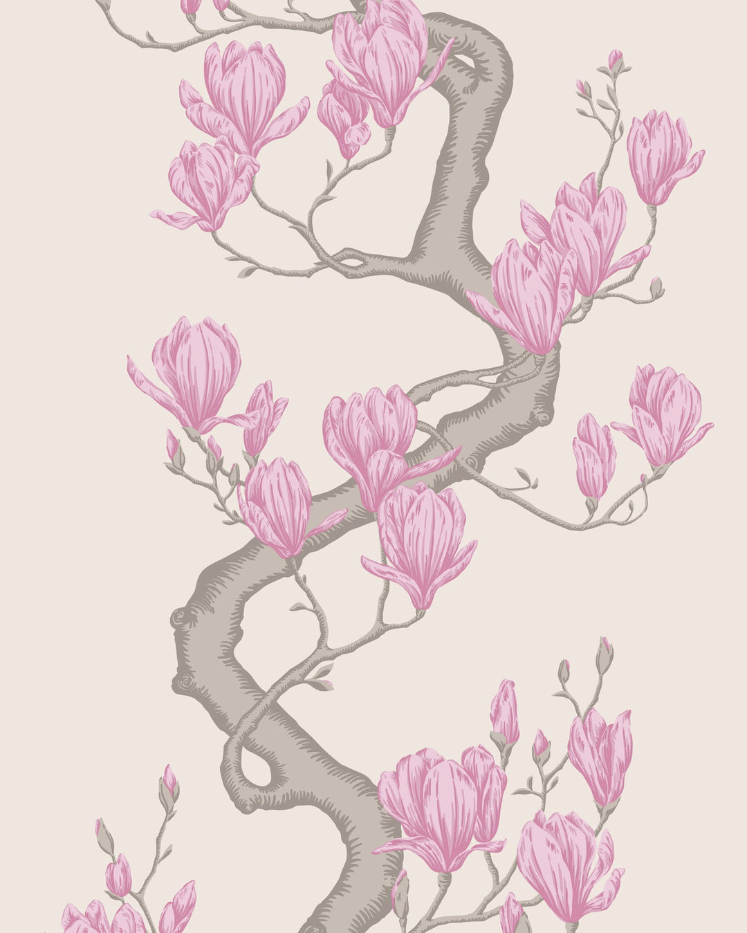 Parchment By Cole & Son Wallcovering