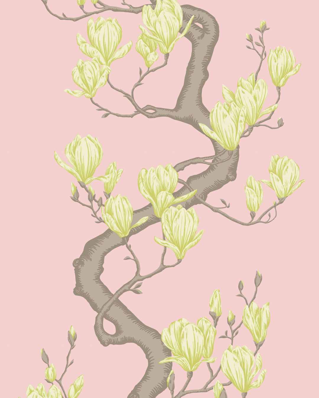 Rose Pink By Cole & Son Wallcovering
