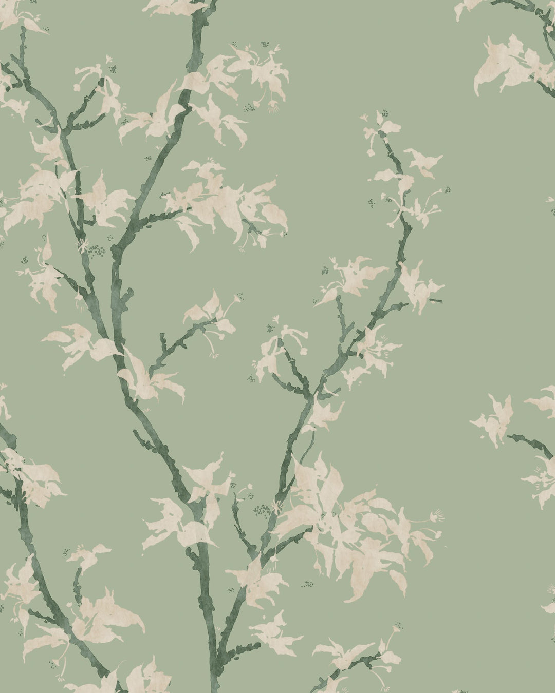 Sage By Cole & Son Wallcovering