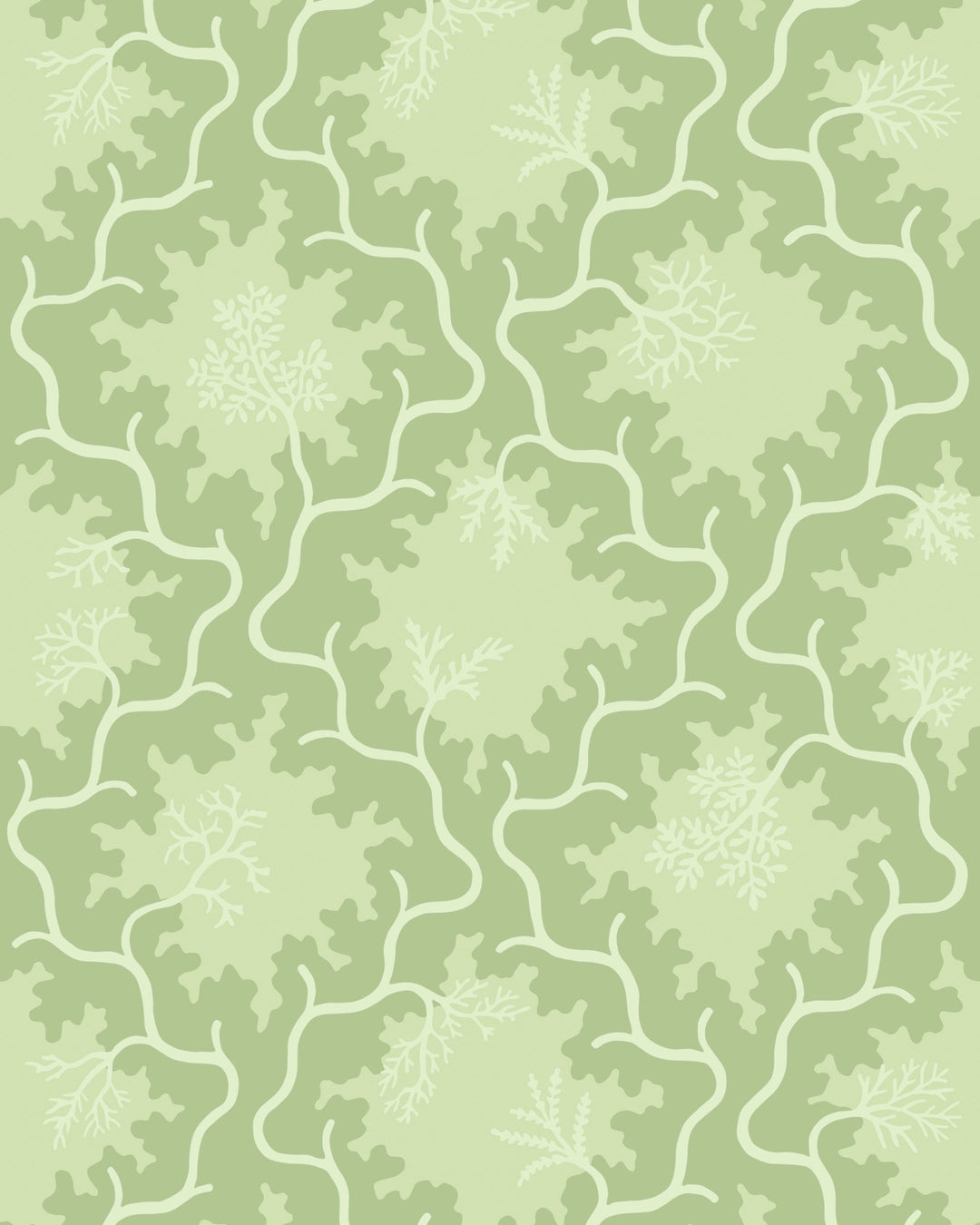 Matcha By Cole & Son Wallcovering