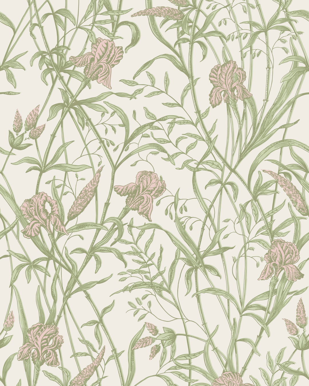 Soft Coral On Chalk By Cole & Son Wallcovering