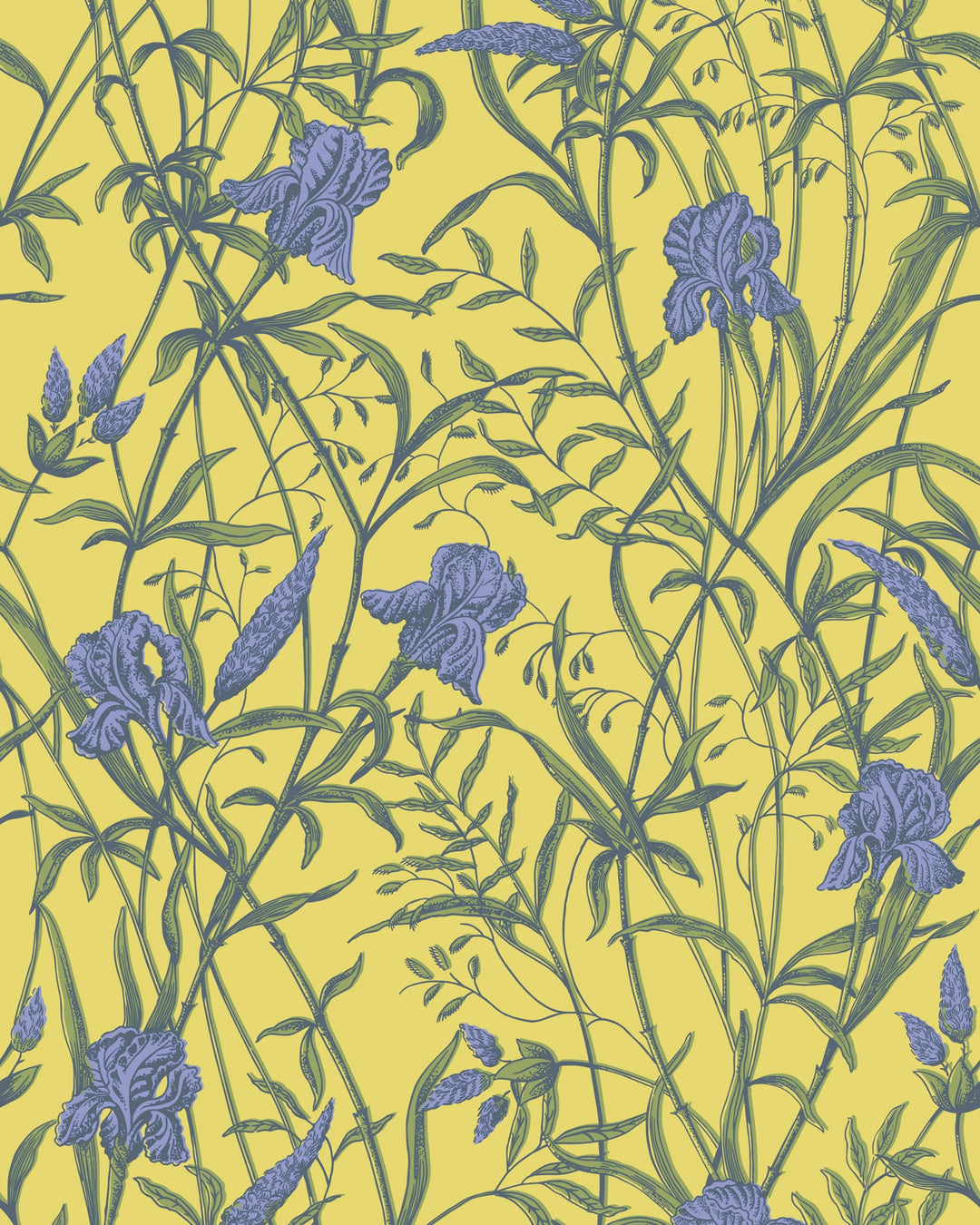 Violet On Citrine By Cole & Son Wallcovering