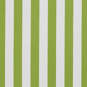 1290 Lime Canopy by Charlotte Fabric