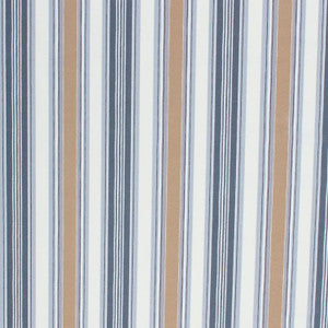 Le Cirque Stripe Silverstone by RM CoCo Fabric
