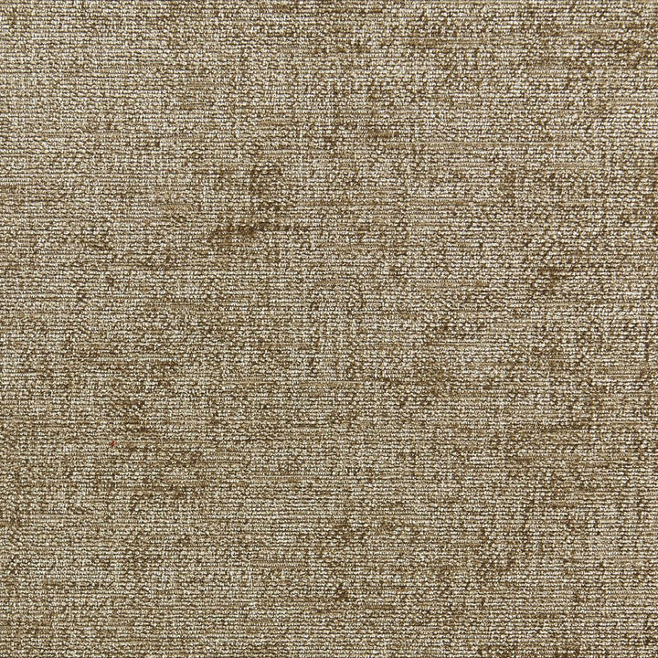 1303 Sage by Charlotte Fabric Ring Book Page #30A 100% Woven Polyester Asia Exceeds 80,000 Wyzenbeek Rubs (Heavy Duty) No Repeat 54 Inches - Fabric Carolina -