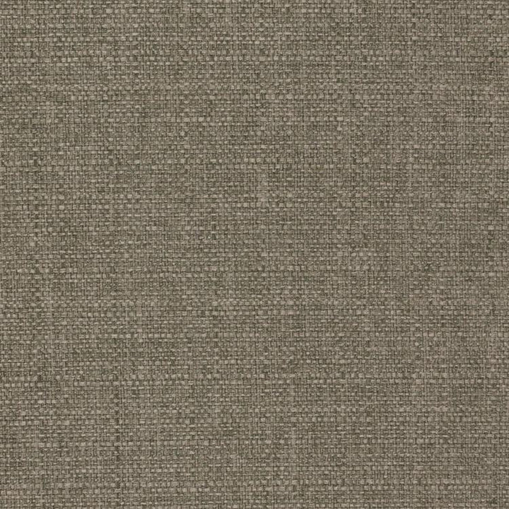 Stonebriar Driftwood by RM CoCo Fabric