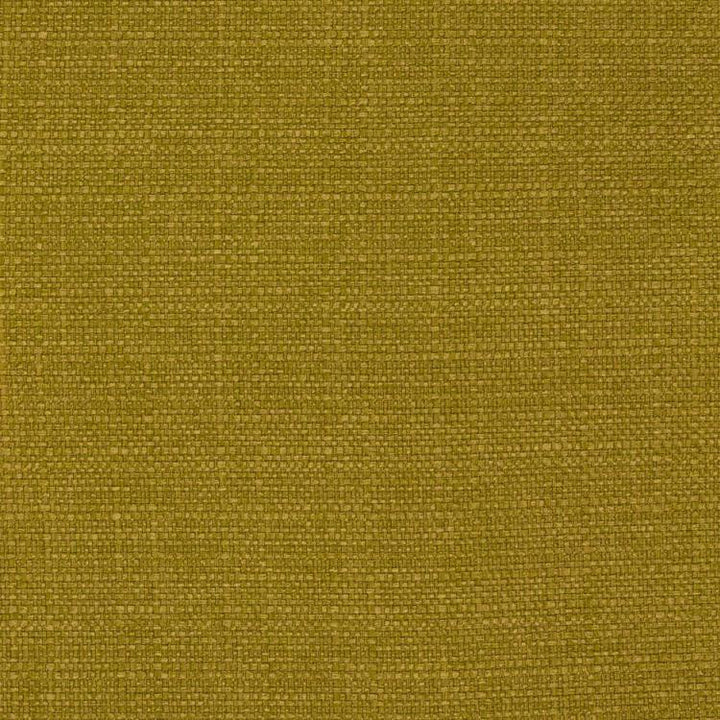 Stonebriar Zest by RM CoCo Fabric