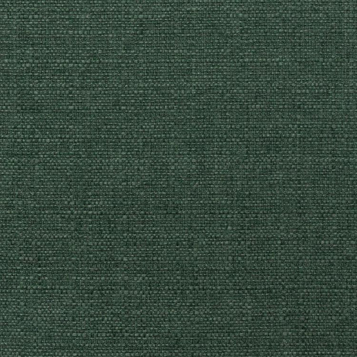 Stonebriar Eucalyptus by RM CoCo Fabric