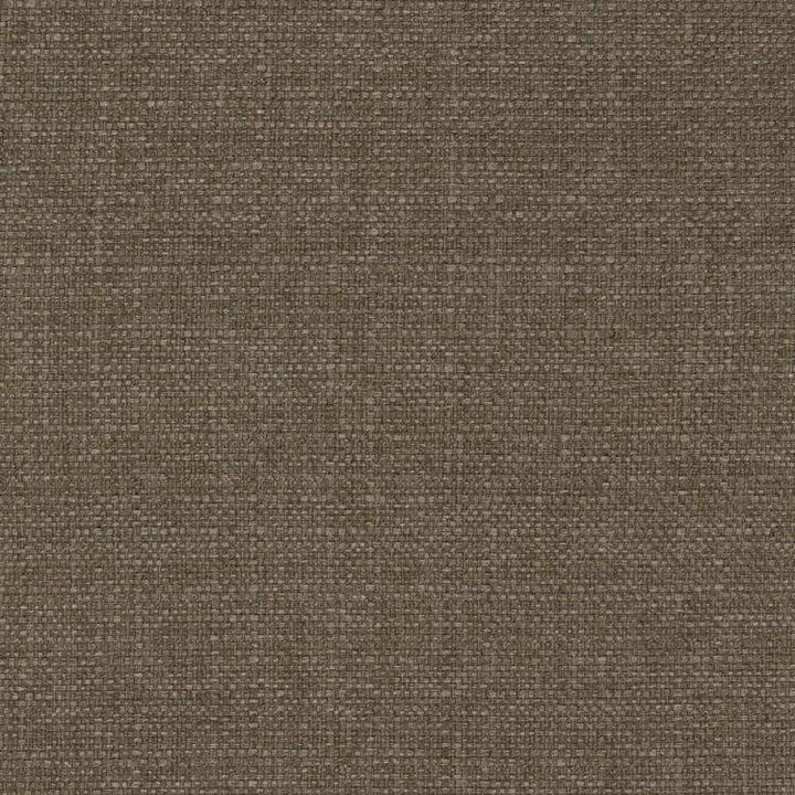 Stonebriar Birch by RM CoCo Fabric