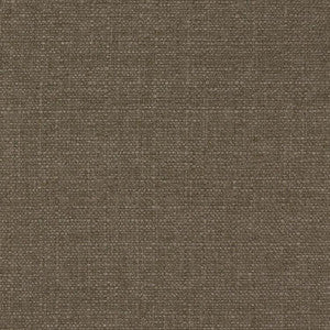 Stonebriar Birch by RM CoCo Fabric
