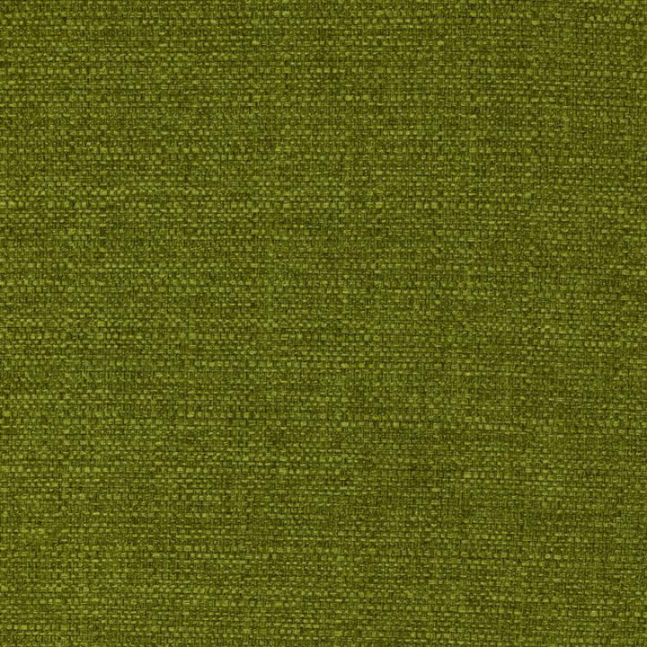 Stonebriar Greenery by RM CoCo Fabric