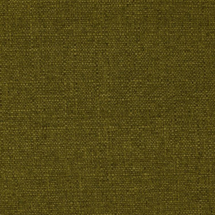 Stonebriar Moss by RM CoCo Fabric
