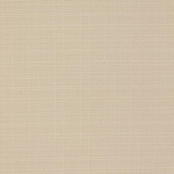 Stonebriar Ivory by RM CoCo Fabric